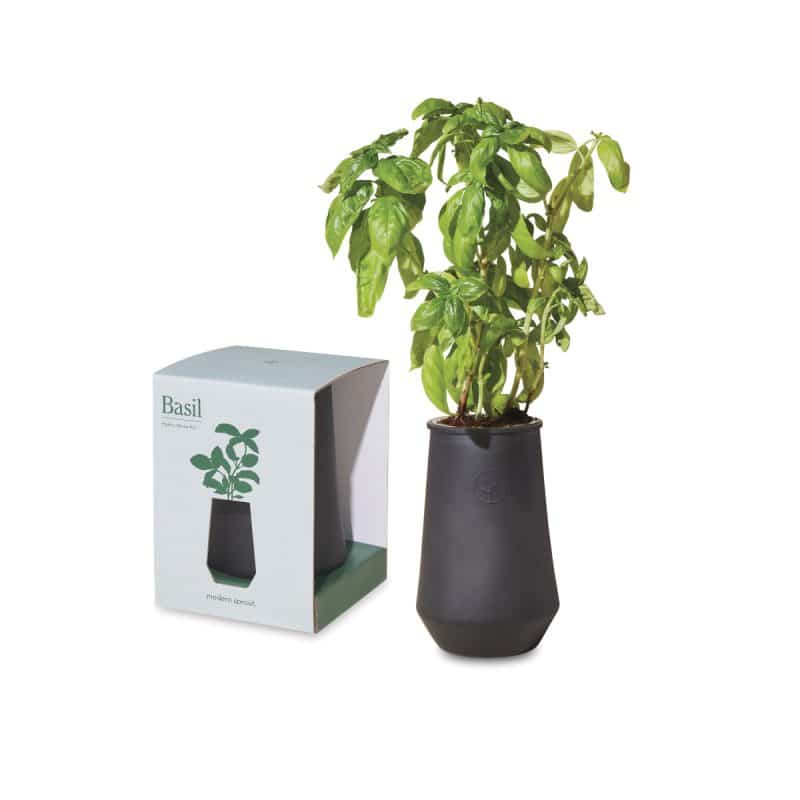 Custom Modern Sprout Tapered Tumbler Grow Kit - Black-Basil - 1