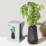 Custom Modern Sprout Tapered Tumbler Grow Kit - Black-Basil - 3