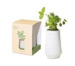 Custom Modern Sprout Tapered Tumbler Grow Kit - White-Mint - 1