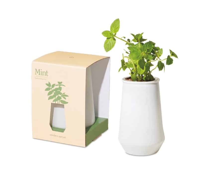 Custom Modern Sprout Tapered Tumbler Grow Kit - White-Mint - 1