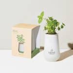 Custom Modern Sprout Tapered Tumbler Grow Kit - White-Mint - 3