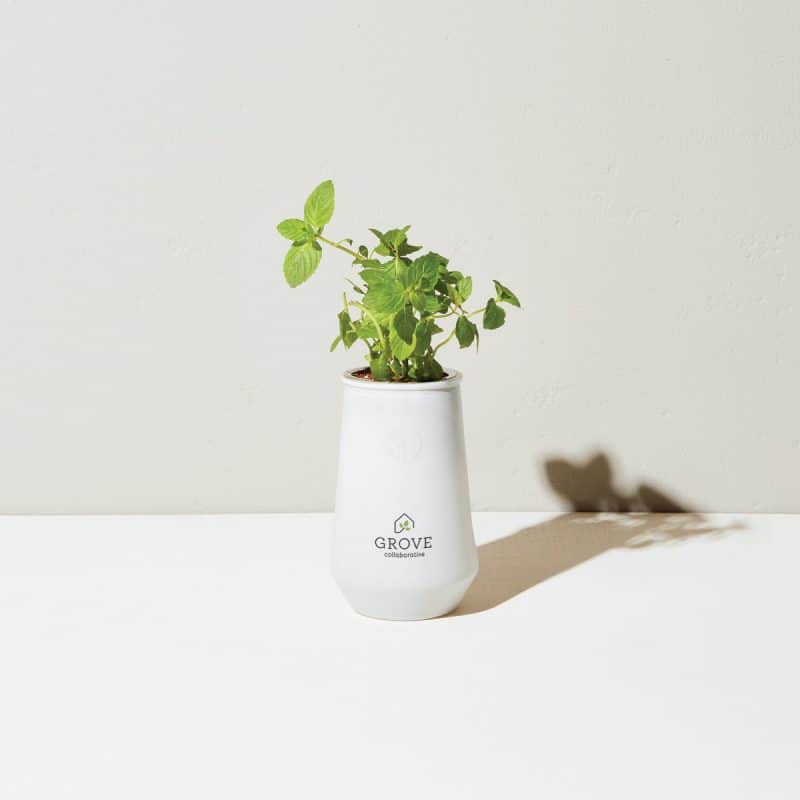 Custom Modern Sprout Tapered Tumbler Grow Kit - White-Mint - 4