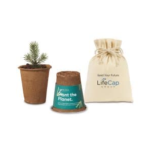 Custom Modern Sprout® One For One Tree Kits - Spruce