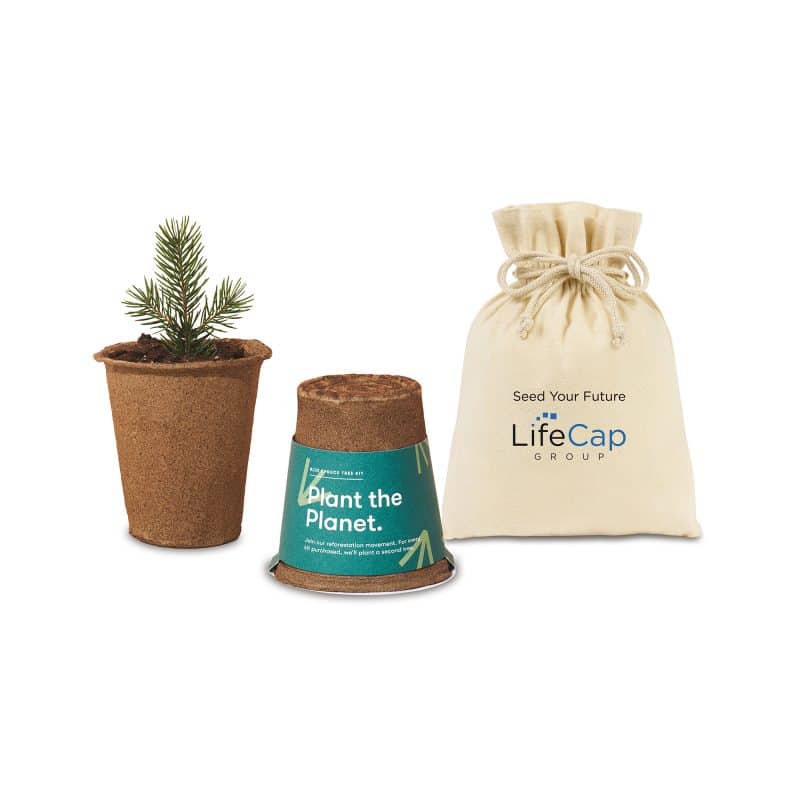 Custom Modern Sprout® One For One Tree Kits - Spruce