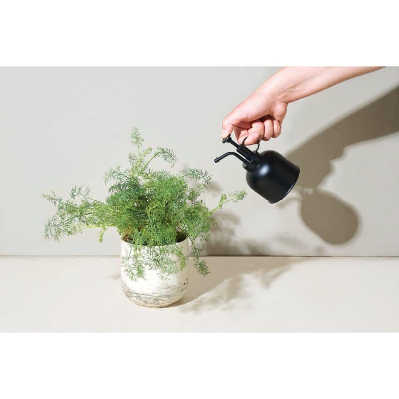 Custom Modern Sprout® Plant Parent Mister - Matte Black - 4