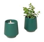 Custom Modern Sprout® Rooted Candle - Dark Teal-Thyme - 1