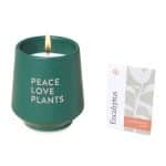 Custom Modern Sprout® Rooted Candle - Dark Teal-Thyme - 2