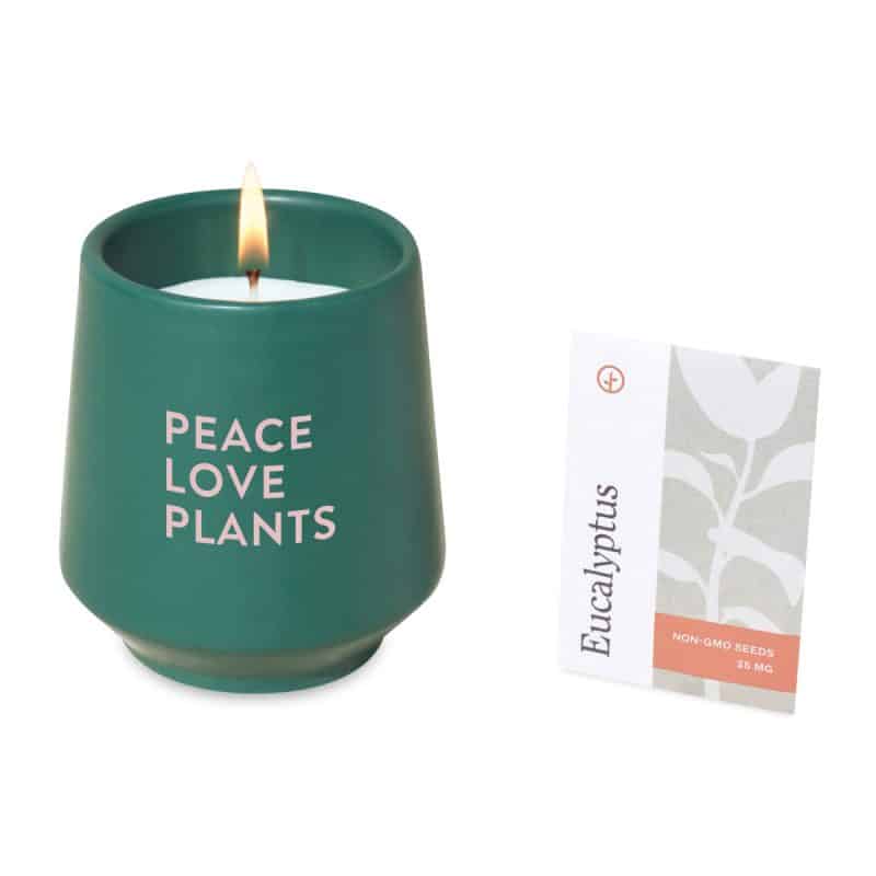Custom Modern Sprout® Rooted Candle - Dark Teal-Thyme - 2