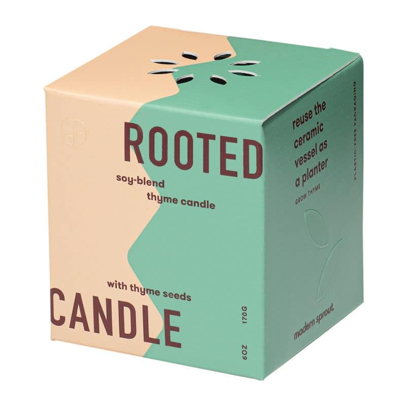 Custom Modern Sprout® Rooted Candle - Dark Teal-Thyme - 3