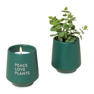 Custom Modern Sprout® Rooted Candle - Dark Teal-Thyme