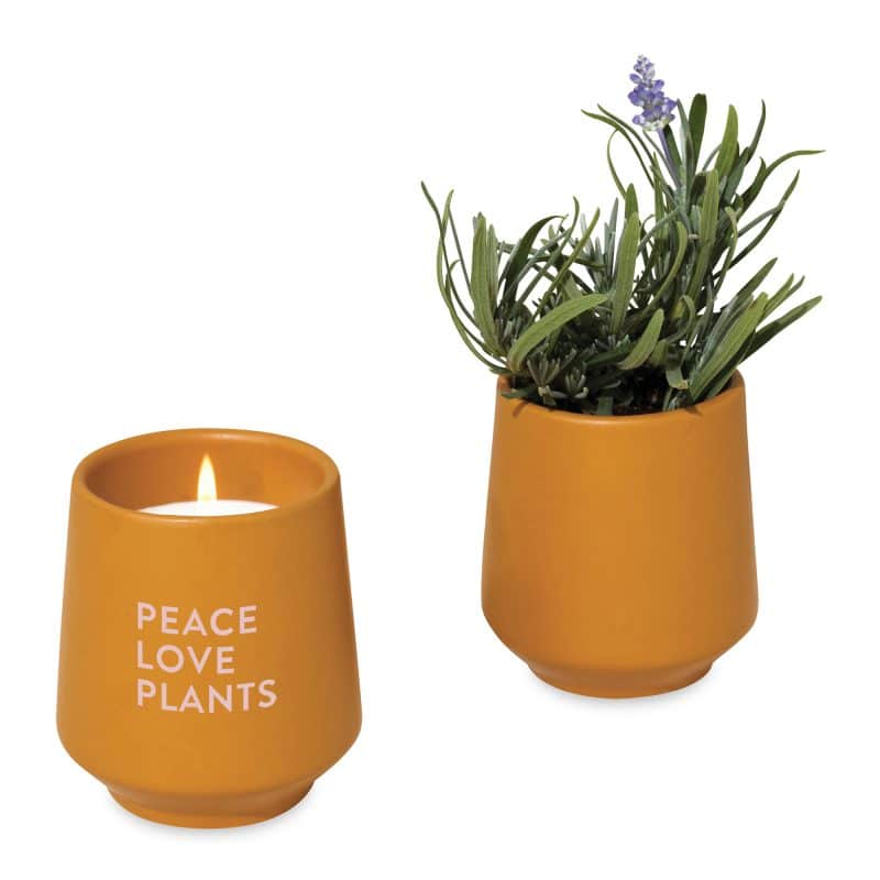 Custom Modern Sprout® Rooted Candle - Mustard-Lavender