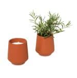 Custom Modern Sprout® Rooted Candle - Sienna-Rosemary - 1