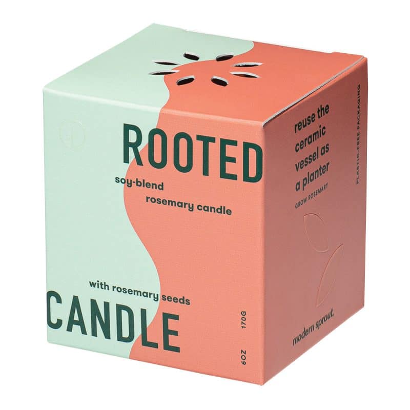 Custom Modern Sprout® Rooted Candle - Sienna-Rosemary - 4