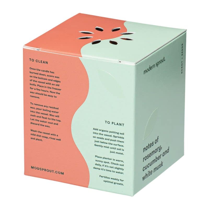 Custom Modern Sprout® Rooted Candle - Sienna-Rosemary - 5