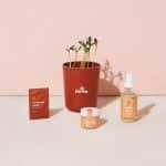 Custom Modern Sprout® Shine Bright Take Care Kit - Sunflower - Shine Bright Sunflower - 2