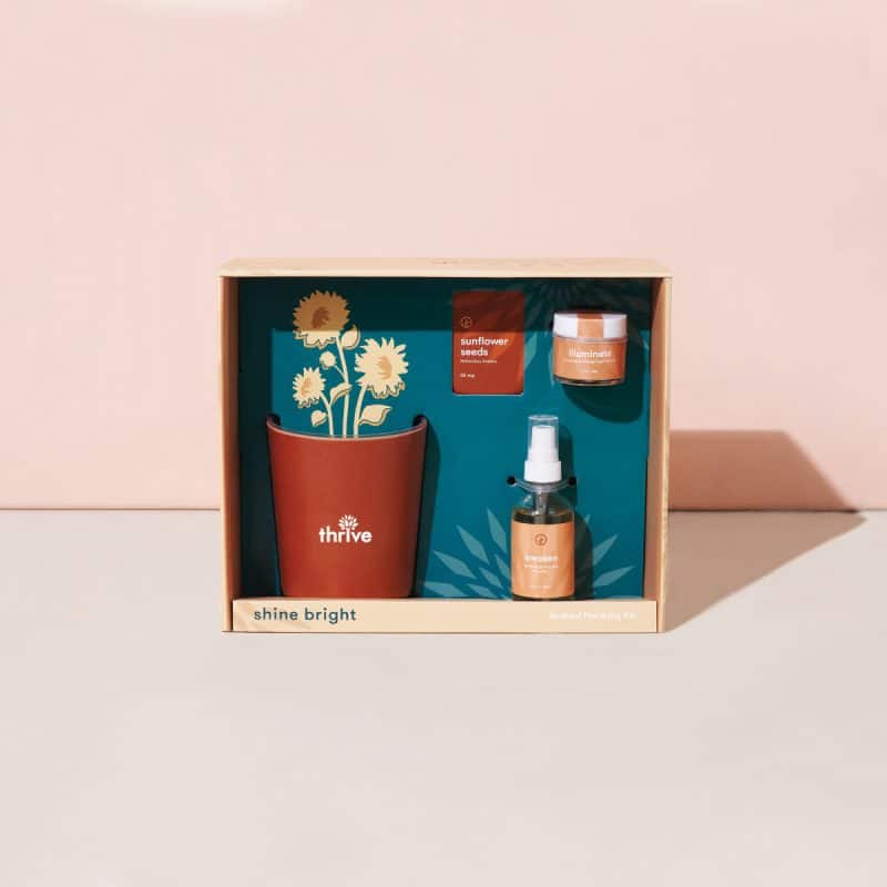 Custom Modern Sprout® Shine Bright Take Care Kit - Sunflower - Shine Bright Sunflower - 3