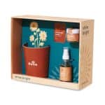 Custom Modern Sprout® Shine Bright Take Care Kit - Sunflower - Shine Bright Sunflower - 4