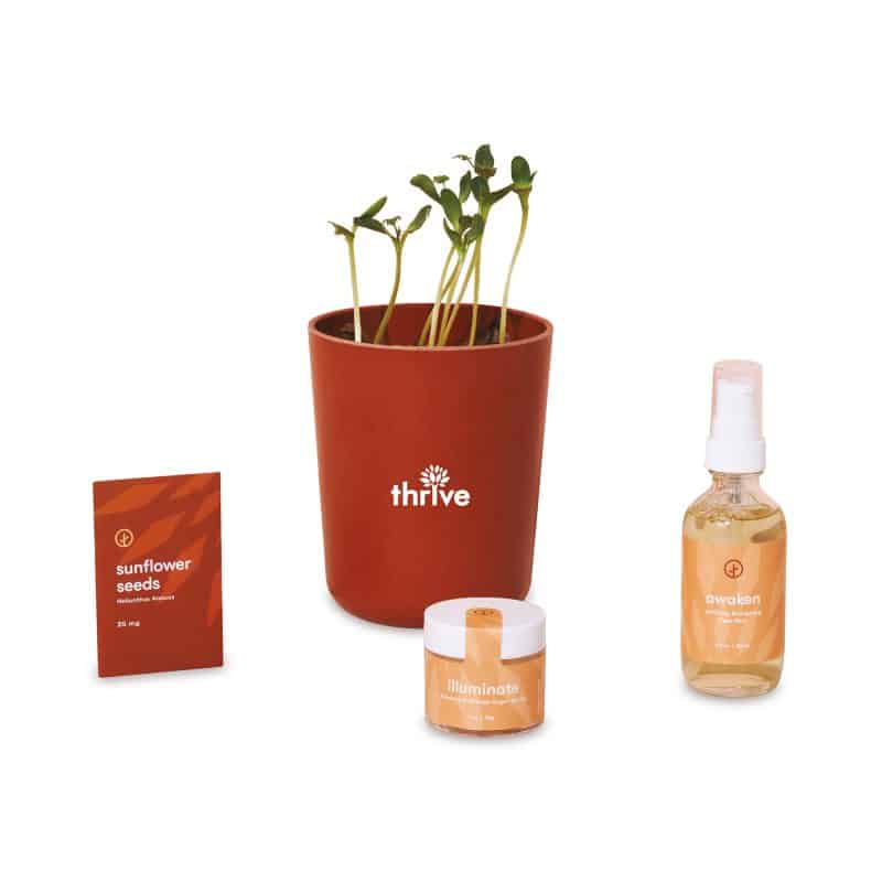Custom Modern Sprout® Shine Bright Take Care Kit - Sunflower - Shine Bright Sunflower