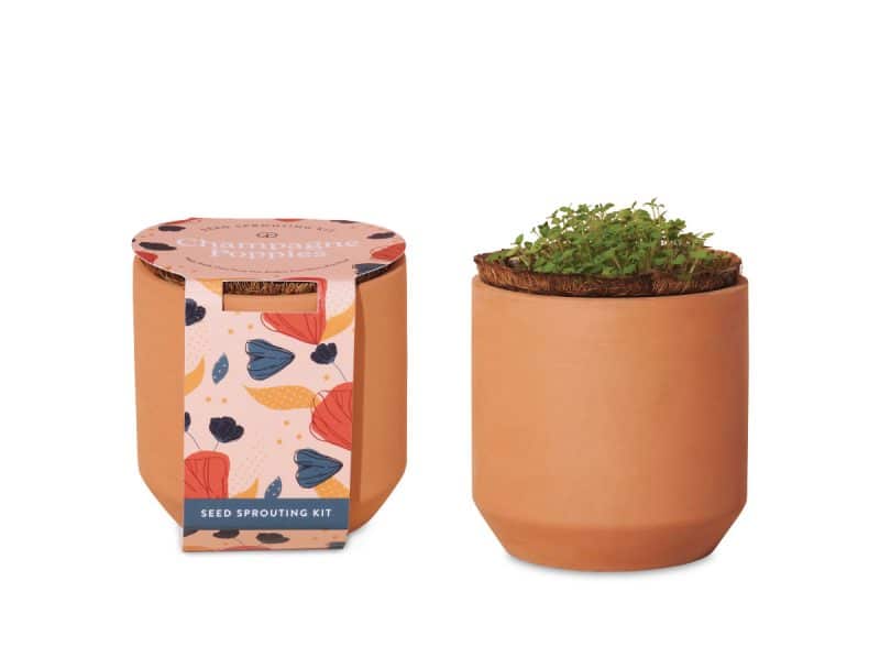 Custom Modern Sprout® Tiny Terracotta Grow Kit Champagne Poppies - Terracotta - 1