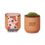 Custom Modern Sprout® Tiny Terracotta Grow Kit Champagne Poppies - Terracotta