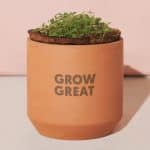 Custom Modern Sprout® Tiny Terracotta Grow Kit Champagne Poppies - Terracotta - 2