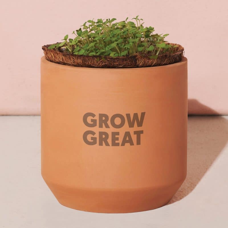 Custom Modern Sprout® Tiny Terracotta Grow Kit Champagne Poppies - Terracotta - 2