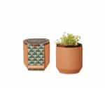Custom Modern Sprout® Tiny Terracotta Grow Kit Good Luck Clover - Terracotta - 1