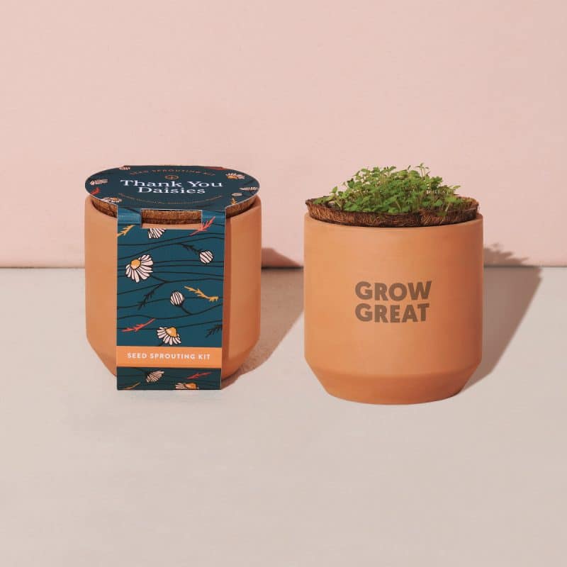Custom Modern Sprout® Tiny Terracotta Grow Kit Thank You Daisies - Terracotta - 5