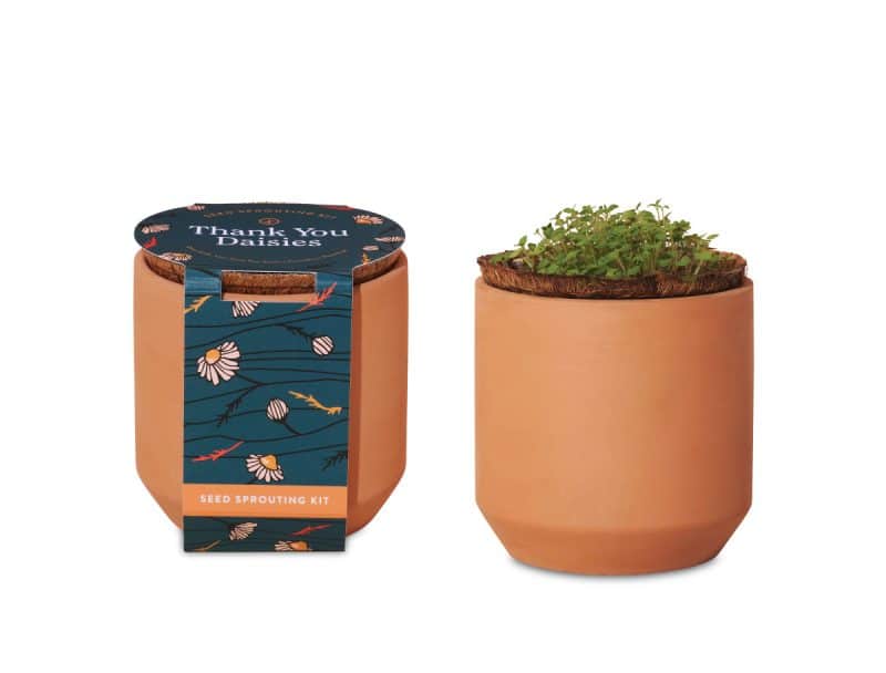 Custom Modern Sprout® Tiny Terracotta Grow Kit Thank You Daisies - Terracotta - 1