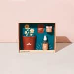 Custom Modern Sprout® Shine Bright Take Care Kit - Sunflower - Shine Bright Sunflower - 6
