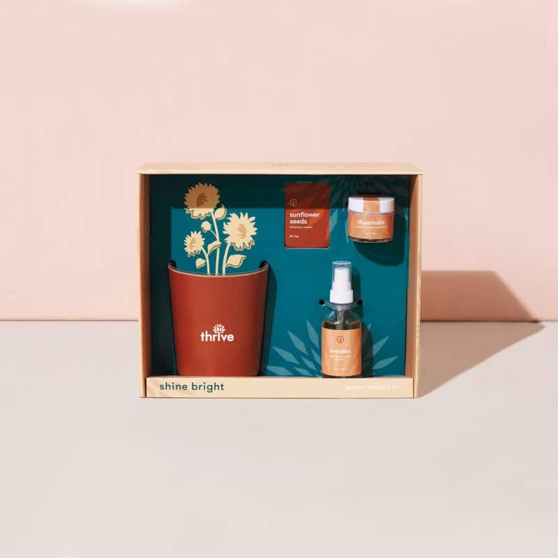 Custom Modern Sprout® Shine Bright Take Care Kit - Sunflower - Shine Bright Sunflower - 6