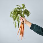 Custom Modern Sprout Garden Seed Pop - Carrot Bunch - 4