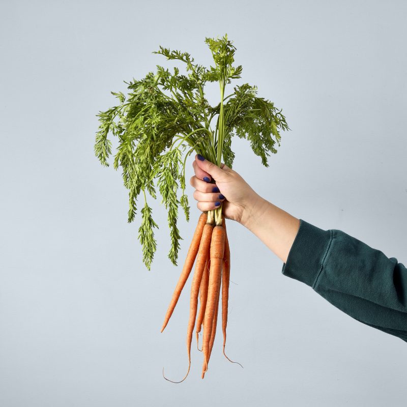 Custom Modern Sprout Garden Seed Pop - Carrot Bunch - 4