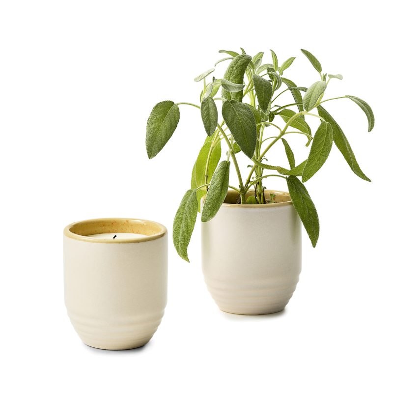 Custom Modern Sprout® Garden Vibes Candle/Planter - Golden Moments-Sage - 1