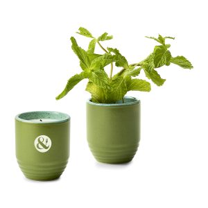 Custom Modern Sprout® Garden Vibes Candle/Planter - In The Weeds-Mint