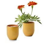 Custom Modern Sprout® Garden Vibes Candle/Planter - Last Light-Marigold - 1