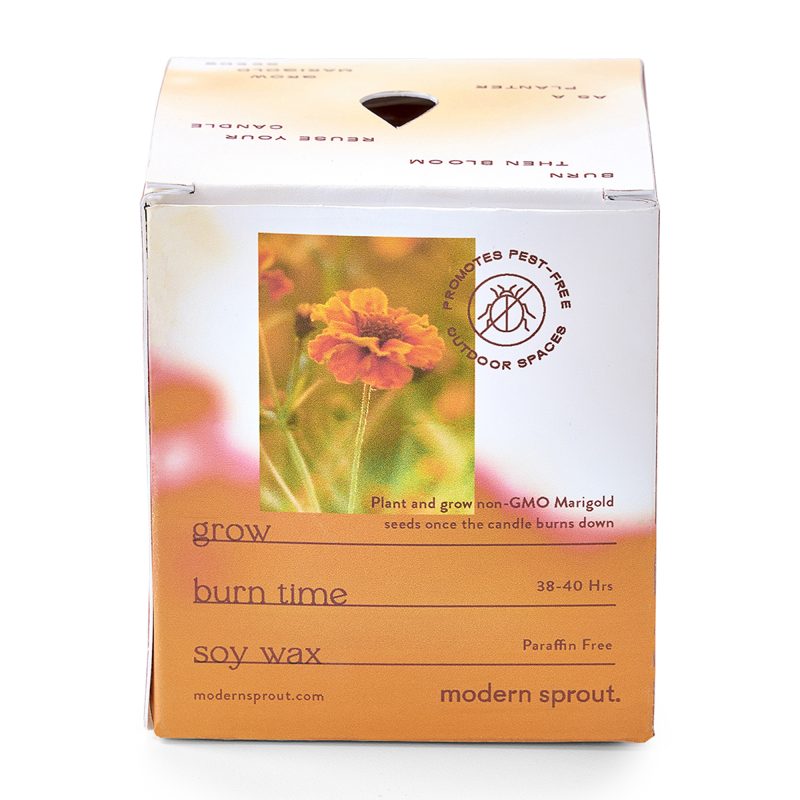 Custom Modern Sprout® Garden Vibes Candle/Planter - Last Light-Marigold - 5