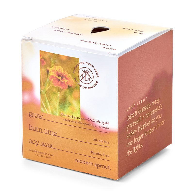 Custom Modern Sprout® Garden Vibes Candle/Planter - Last Light-Marigold - 6