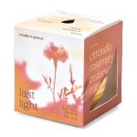 Custom Modern Sprout® Garden Vibes Candle/Planter - Last Light-Marigold - 7