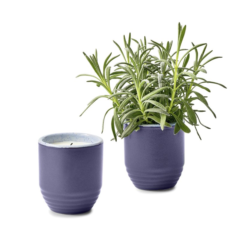 Custom Modern Sprout® Garden Vibes Candle/Planter - Violet Hour-Lavender - 1