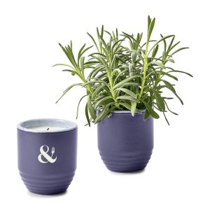 Custom Modern Sprout® Garden Vibes Candle/Planter - Violet Hour-Lavender