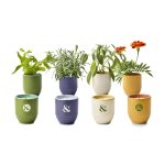 Custom Modern Sprout® Garden Vibes Candle/Planter - Violet Hour-Lavender - 5