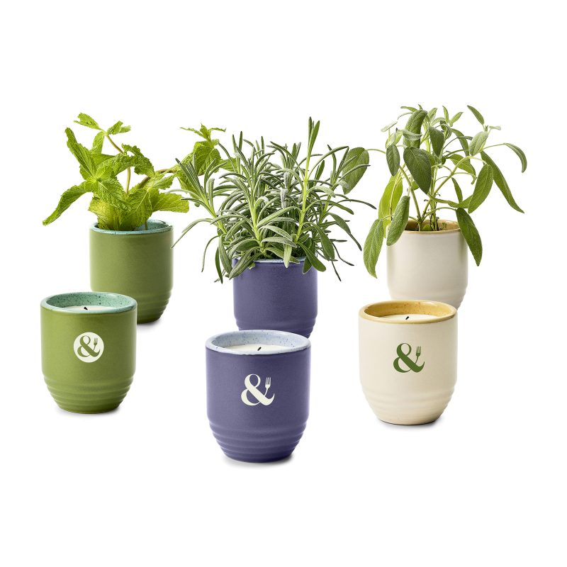 Custom Modern Sprout® Garden Vibes Candle/Planter - Violet Hour-Lavender - 6