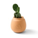 Custom Modern Sprout Modern Terracotta Grow Kit Cactus - Terracotta