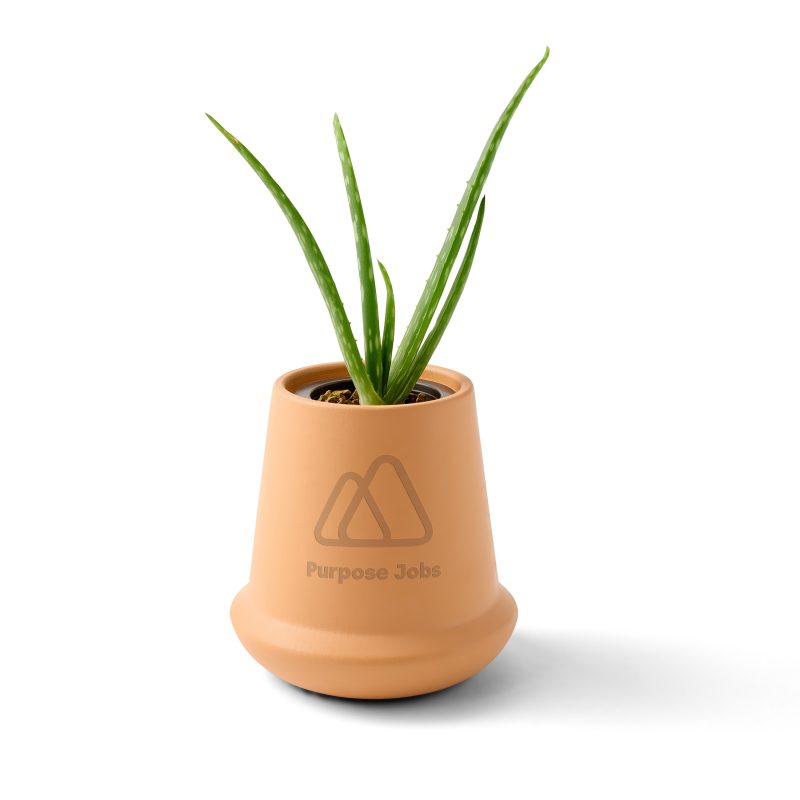 Modern-Sprout®-Modern-Terracotta-Grow-Kit-Aloe-Terracotta-103086-236 Custom Modern Sprout® Modern Terracotta Grow Kit Aloe - Terracotta