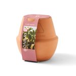 Custom Modern Sprout® Modern Terracotta Grow Kit Bonsai - Terracotta - 4
