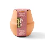 Custom Modern Sprout® Modern Terracotta Grow Kit Bonsai - Terracotta - 5