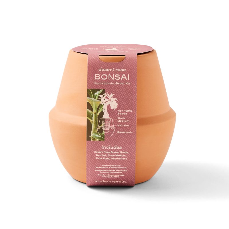 Custom Modern Sprout® Modern Terracotta Grow Kit Bonsai - Terracotta - 5