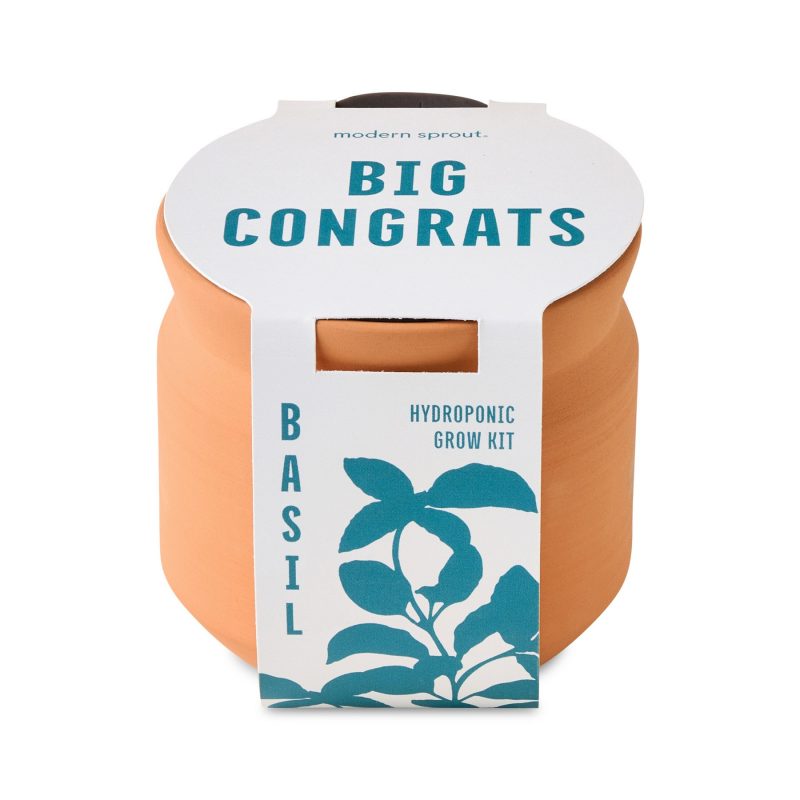 Custom Modern Sprout Tiny Terracotta Big Congrats - Terracotta - 4
