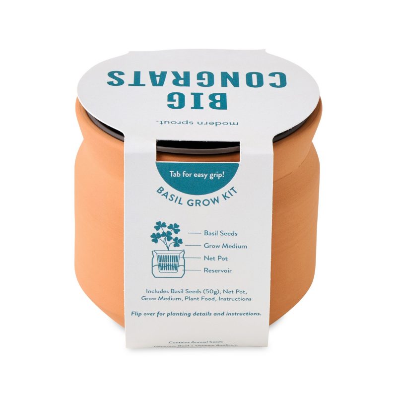 Custom Modern Sprout Tiny Terracotta Big Congrats - Terracotta - 6